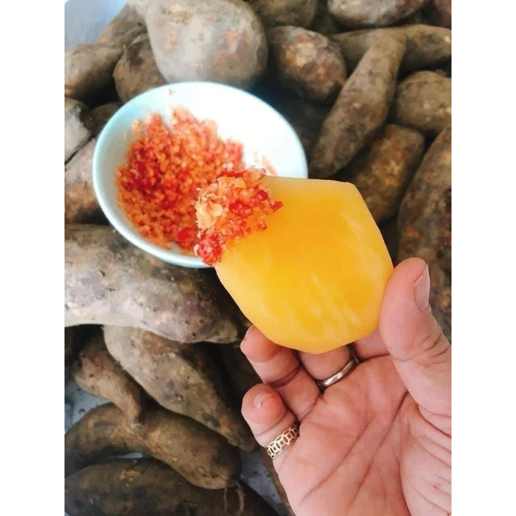 Mua Sâm Đất Y Tý về mà nhanh héo? Bí kíp bảo quản giúp giữ tươi ngon cả tuần