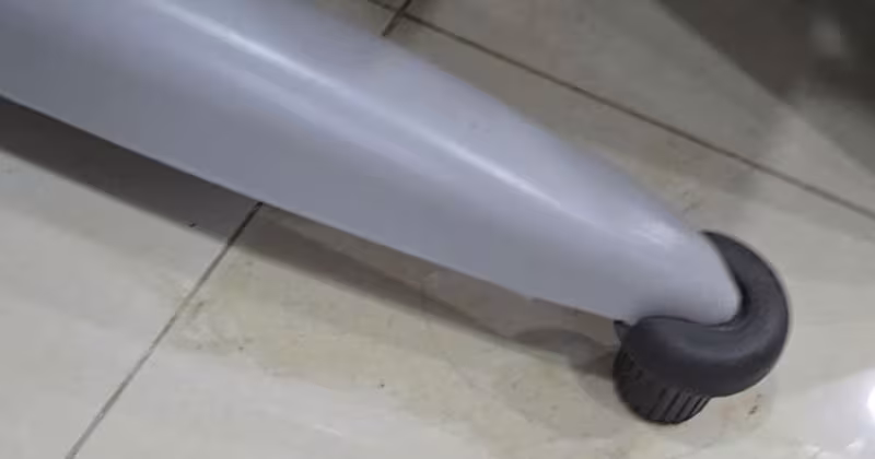 5 khu vực cần vệ sinh kỹ khi nuôi thú cưng bảo vệ sức khỏe