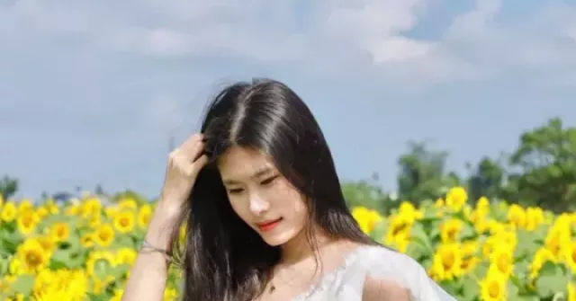 Cánh đồng hoa hướng dương An Phú, Quảng Ngãi – Điểm check‑in cuối năm