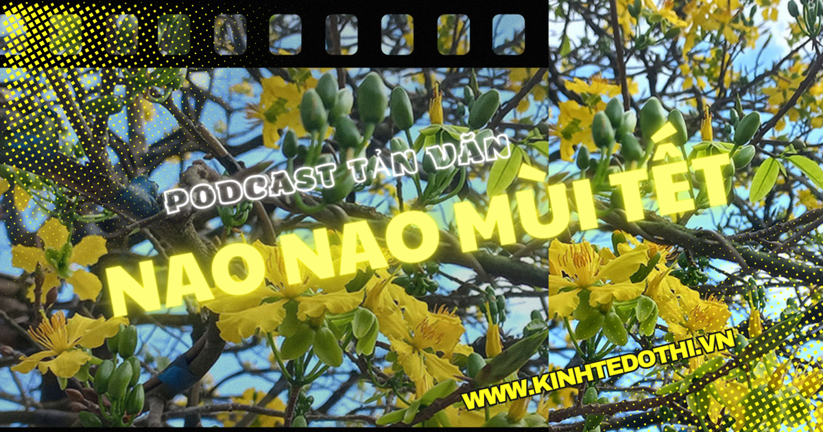 Khám phá hương vị Tết: Những mùi hương gợi nhớ tuổi thơ và bình an