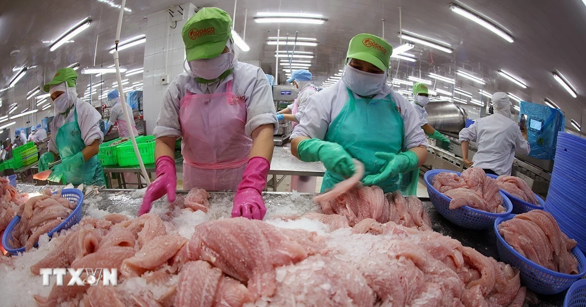 Thủy sản Việt Nam 2025: Vượt 11 tỷ USD – Chiến lược và bước ngoặt