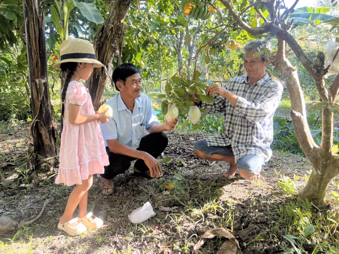 Cần Thơ: Nông dân lập khu du lịch sinh thái miệt vườn, thu nhập nửa tỉ đồng/năm