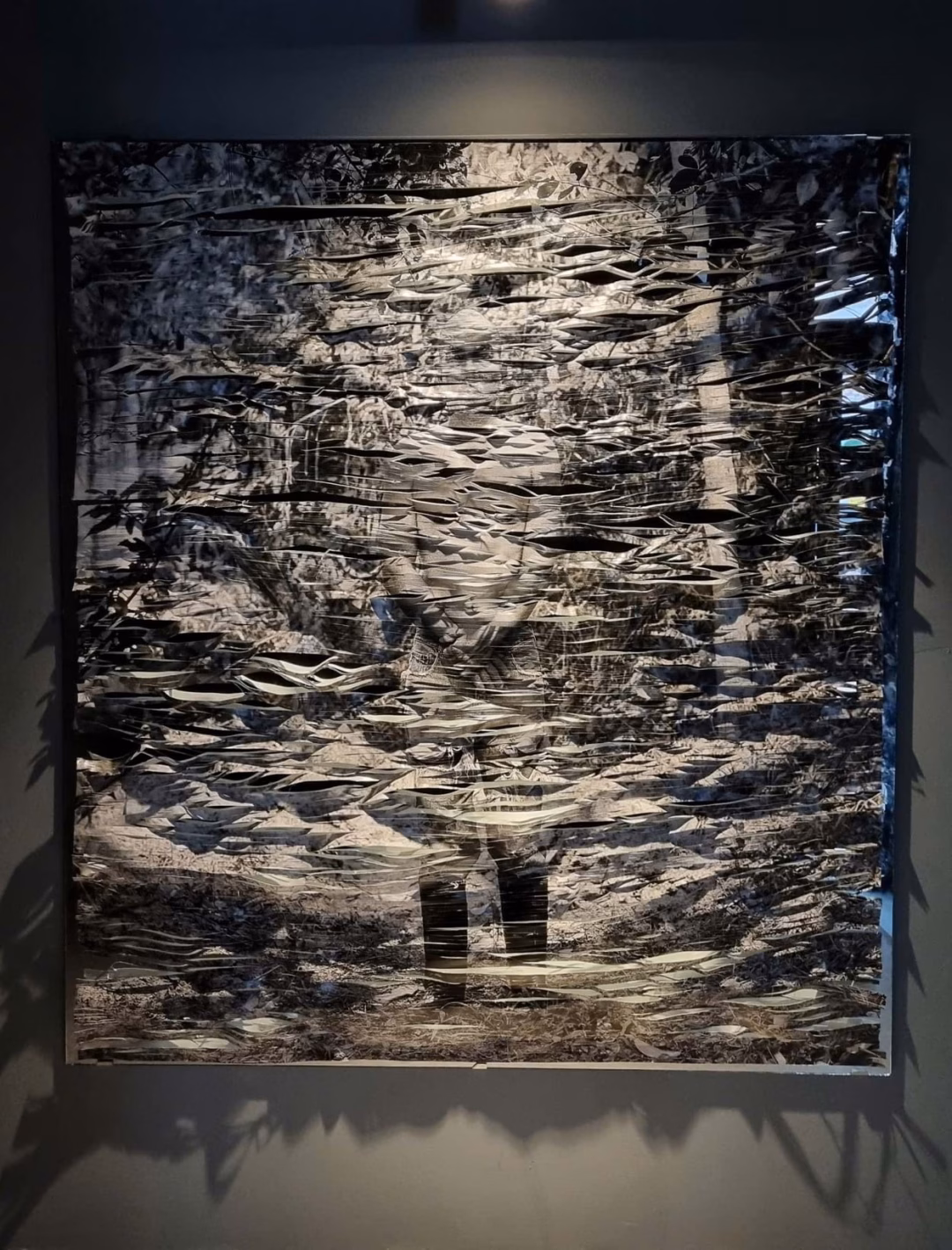 Tác phẩm Bản dạng.