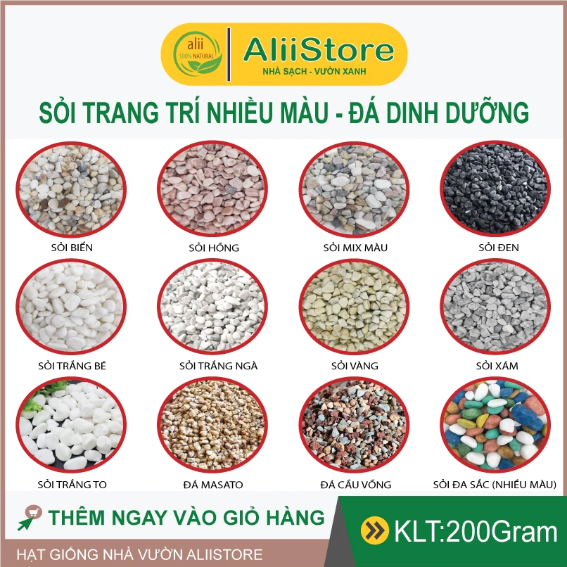 Làm thế nào để chọn sỏi trang trí phù hợp cho chậu cây cảnh của bạn?
