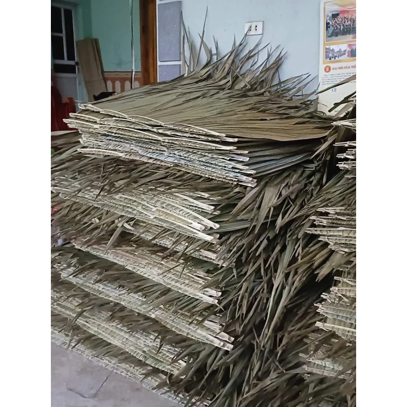 Tấm Lợp Lá Cọ Có Chống Nóng Hiệu Quả Không? Kinh Nghiệm Thực Tế Của Người Dùng