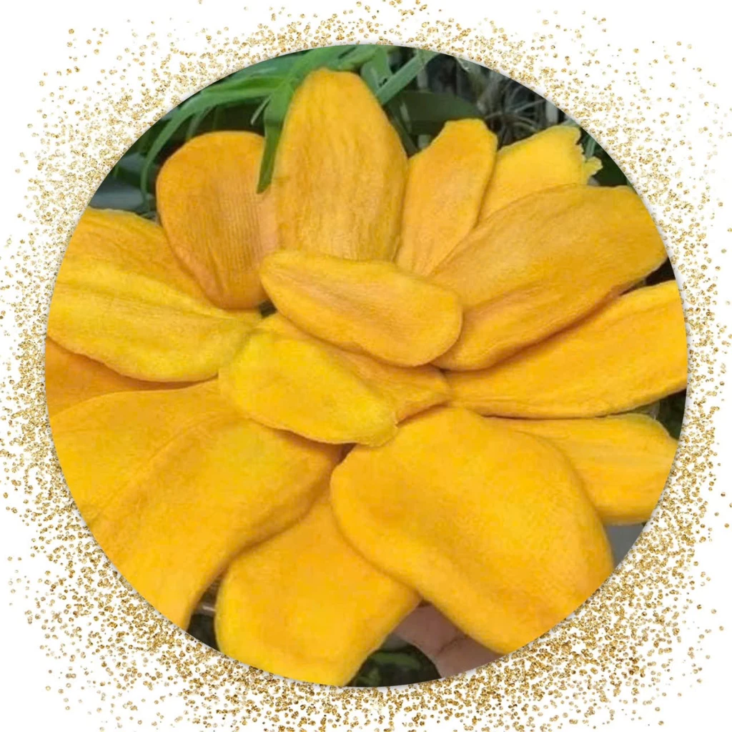 Mua xoài sấy dẻo Nha Trang về không bị cứng, bí quyết bảo quản nào không nên bỏ qua?