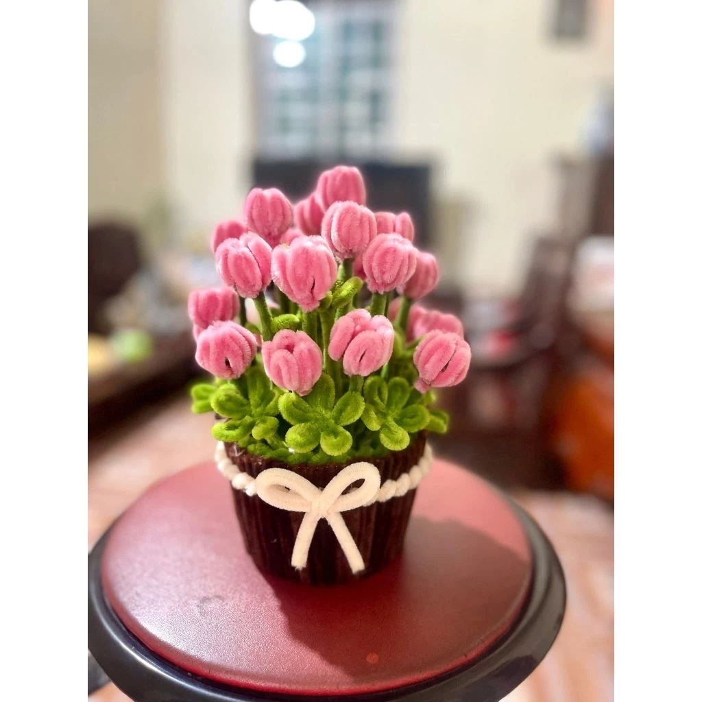 Tại sao chậu hoa Tuylip kẽm nhung nhiều màu lại là lựa chọn sai lầm của nhiều người mới trang trí nhà?