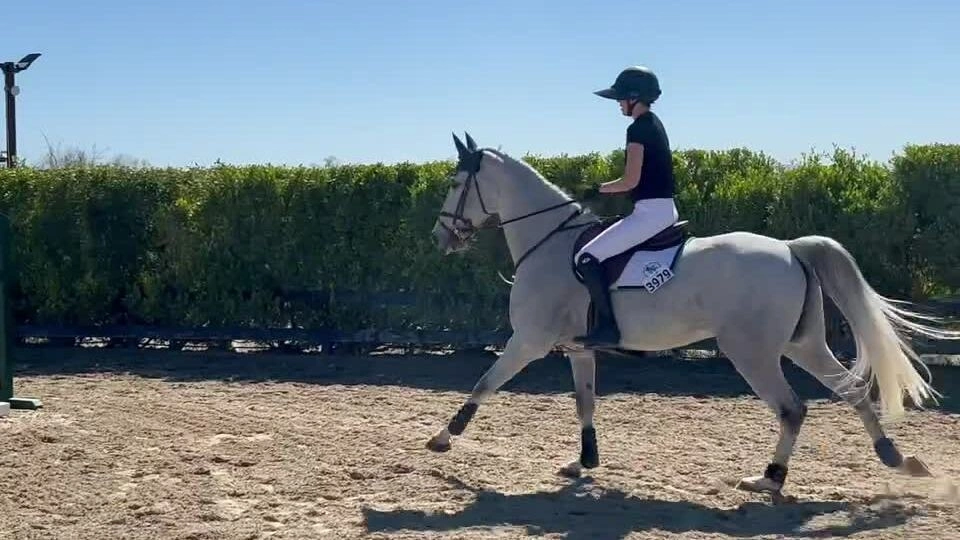 Kendall Jenner luyện tập cưỡi ngựa tại điền trang