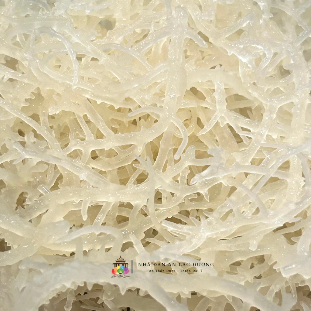 Rong sụn gai một nắng: Mẹo chọn và sử dụng để không bị đắng