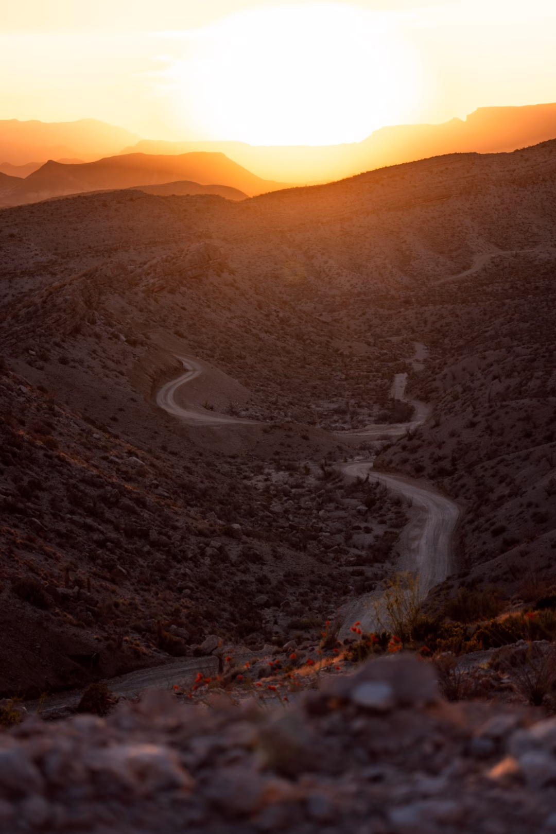 Khu vực Big Bend Texas – Thiên đường户外 cho những người yêu thích phiêu lưu