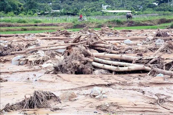 Khu vực do lũ ống, lũ quét gây ra khiến nhiều đất đá, cây vùi lấp các nạn nhân. Ảnh: Quang Quyết - TTXVN.