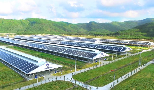 Cùng Chính phủ thực hiện mục tiêu Net Zero 2050, Vinamilk tiếp tục hành trình trồng cây