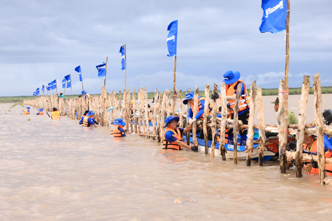 Vinamilk tham gia trồng rừng Vinamilk tham gia trồng rừng