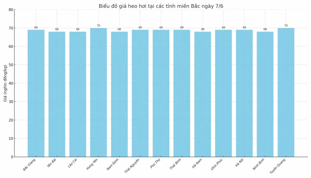 Biểu đồ giá heo hơi tại các tỉnh miền Bắc ngày 7/6. Biểu đồ giá heo hơi tại các tỉnh miền Bắc ngày 7/6.