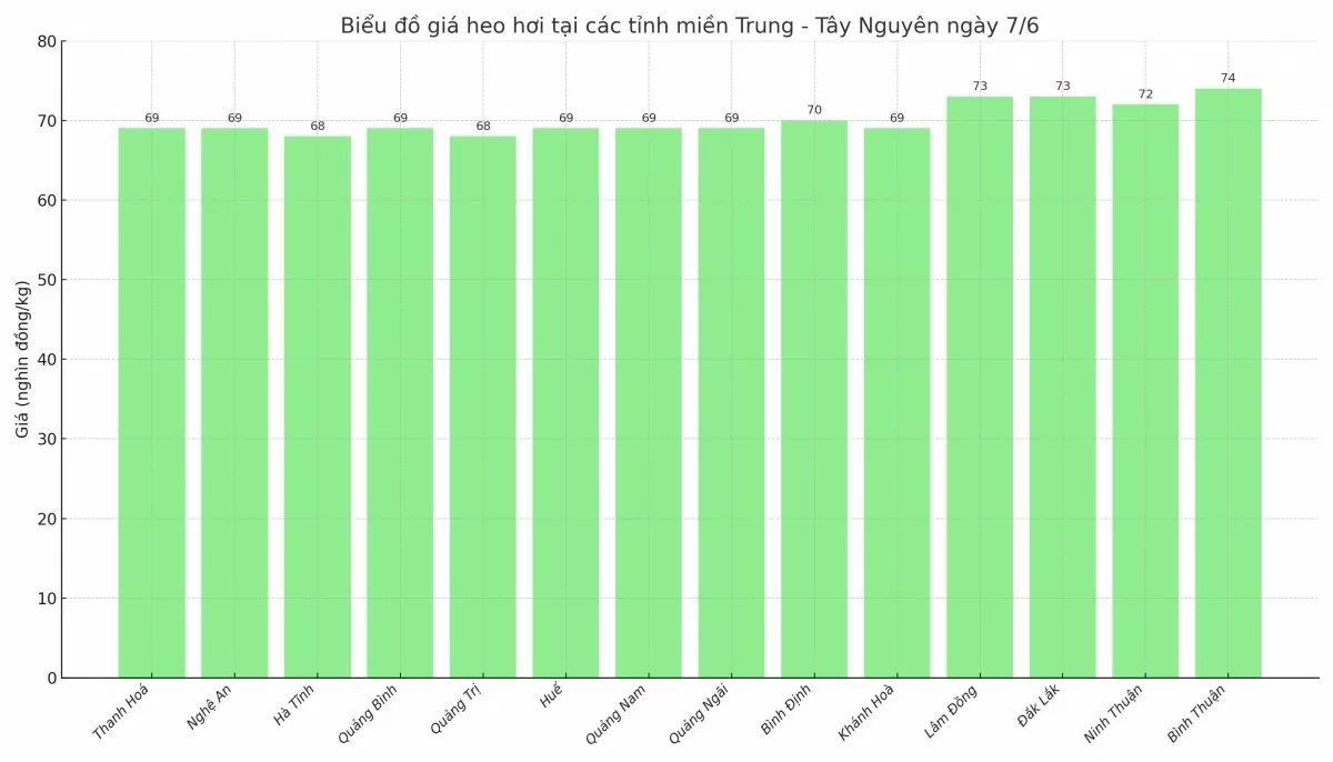 Biểu đồ giá heo hơi tại các tỉnh miền Trung - Tây Nguyên ngày 7/6. Biểu đồ giá heo hơi tại các tỉnh miền Trung - Tây Nguyên ngày 7/6.