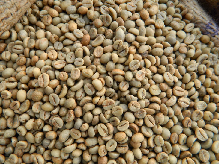 Hiệp Hội Cà Phê – Cacao Việt Nam 18/7/2025 Giá kỳ hạn cà phê giảm khi USD tăng mạnh khiến đầu cơ thanh lý bán ra