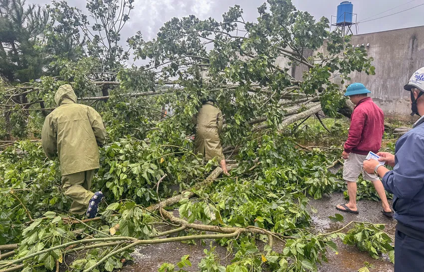 Lâm Đồng: Mưa lớn gây thiệt hại nặng, nhiều nhà dân bị tốc mái và ngập nặng Lực lượng chức năng dọn dẹp cây ngã đổ. Ảnh: TRÙNG DƯƠNG