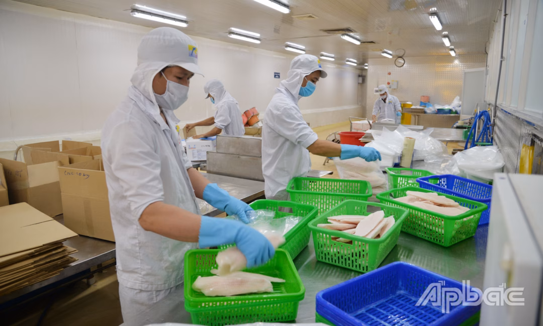 Nghị quyết mới mở ra chương mới cho kinh tế tư nhân và đổi mới sáng tạo Thủy sản chế biến đóng góp tích cực trong kim ngạch xuất khẩu của Đồng Tháp hiện nay.