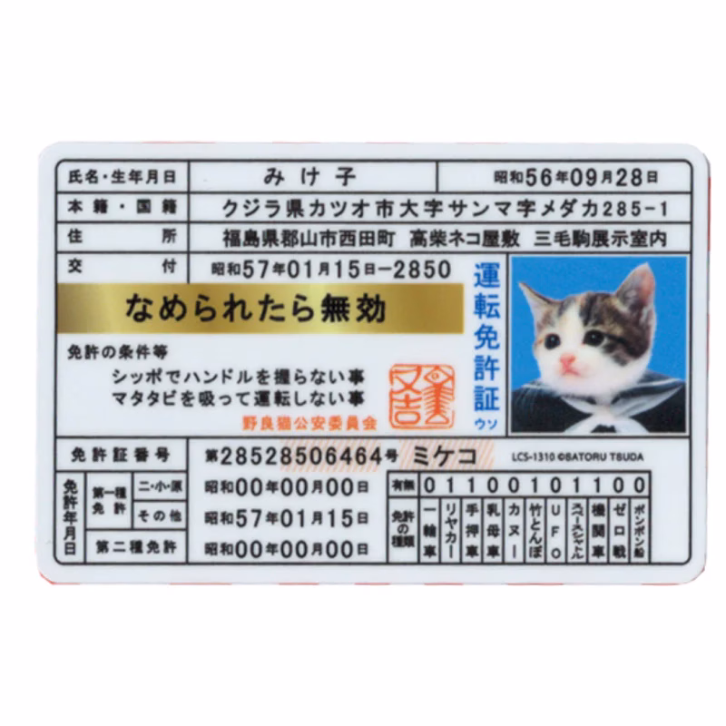 Nameneko – Biểu tượng đường phố Nhật Bản với ảnh mèo nổi loạn