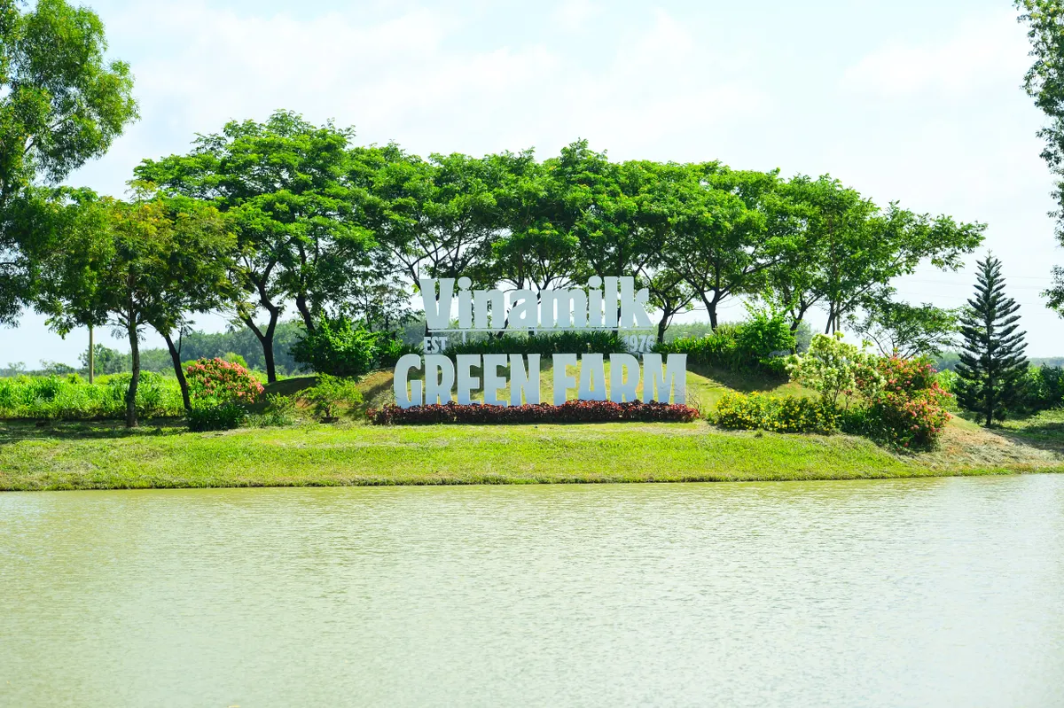 Trang trại bò sữa Vinamilk Green Farm Tây Ninh: Mở khóa tự nhiên cho tương lai bền vững Ảnh: Quang Định