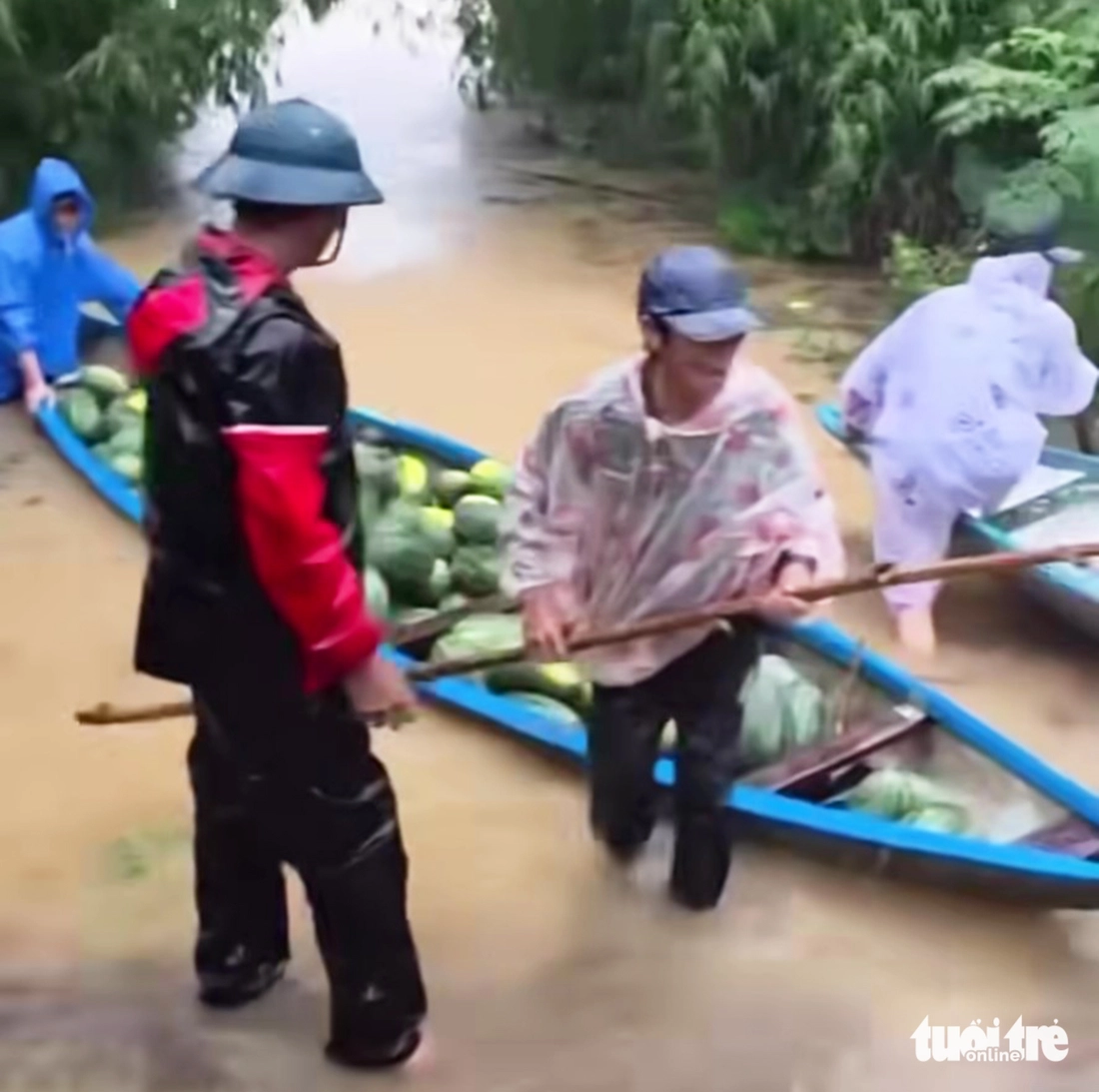 Người dân huyện Đại Lộc ra đồng hái dưa để vớt vát Người dân huyện Đại Lộc ra đồng hái dưa để vớt vát