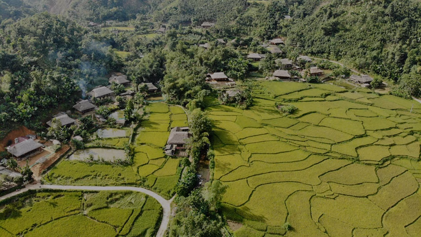Món ngon không thể bỏ lỡ ở Lào Cai: Vịt bầu lam và cá nướng hai lửa Đứng trên cao nhìn xuống, Nghĩa Đô là một lòng chảo tuyệt đẹp mang đậm sắc màu truyền thống. Ảnh: Bích Quyên