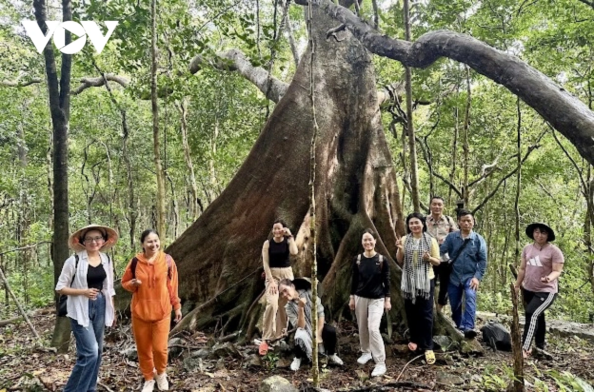 TP.HCM – Điểm đến mới của du lịch Việt Nam với diện mạo hoàn toàn mới Các hoạt động trải nghiệm hệ sinh thái rừng - biển tại Côn Đảo được du khách quan tâm