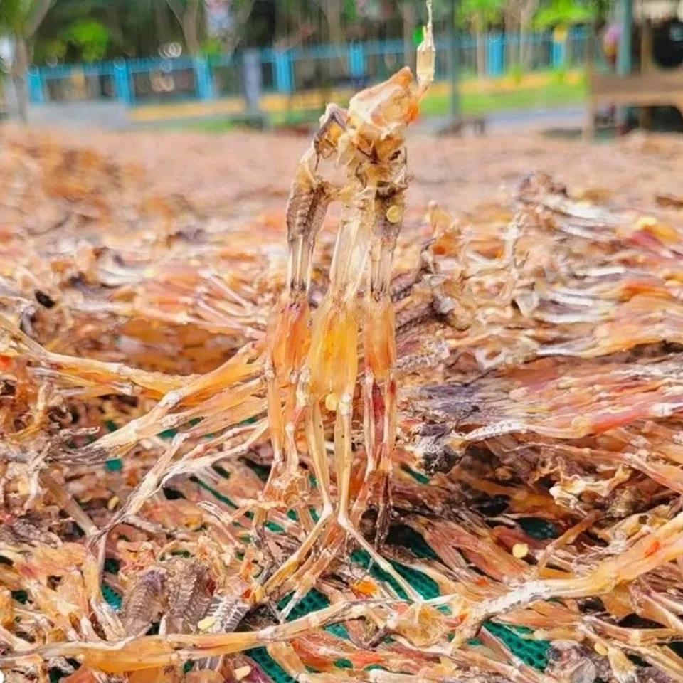 Làm thế nào để phân biệt vũ nữ chân dài và khô nhái Bảy Núi An Giang thật với giả?