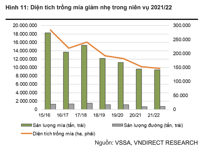 Ngành mía đường 2022: Nhìn thấy ‘tia sáng cuối đường hầm”