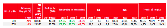 SSI: Năm 2023 kém khả quan, cổ phiếu ngành phân bón trông chờ yếu tố nào để phục hồi?