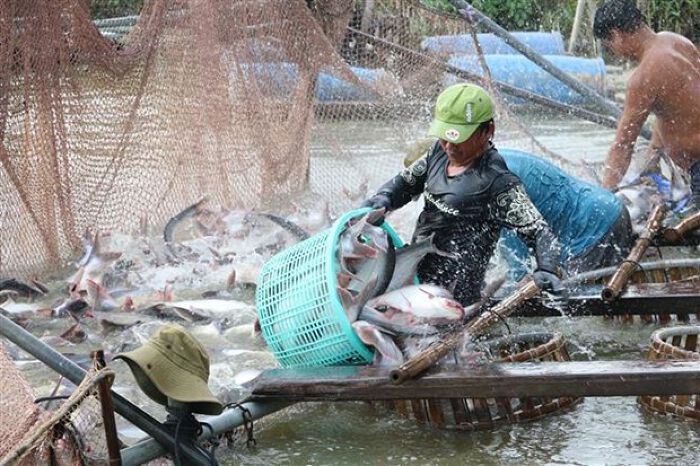 JETRO khẳng định niềm tin lớn của các nhà đầu tư Nhật Bản với Việt Nam