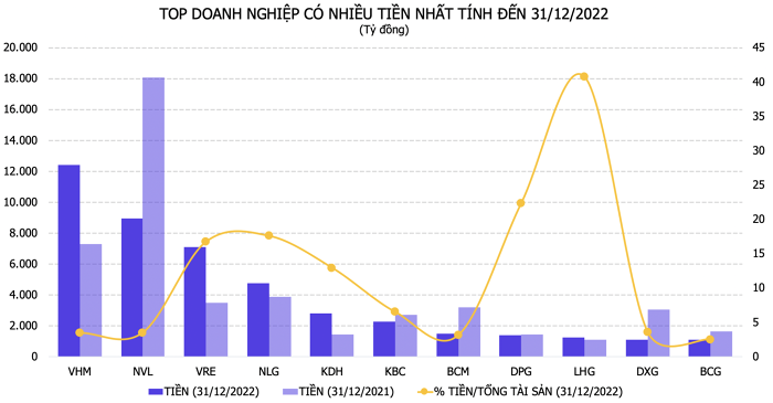 Doanh nghiệp bất động sản niêm yết còn bao nhiêu tiền?