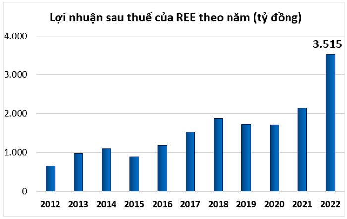 Lợi nhuận ròng của REE có thể không duy trì tăng trưởng