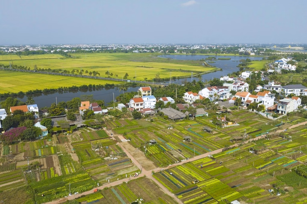 Toàn cảnh làng rau Trà Quế Toàn cảnh làng rau Trà Quế