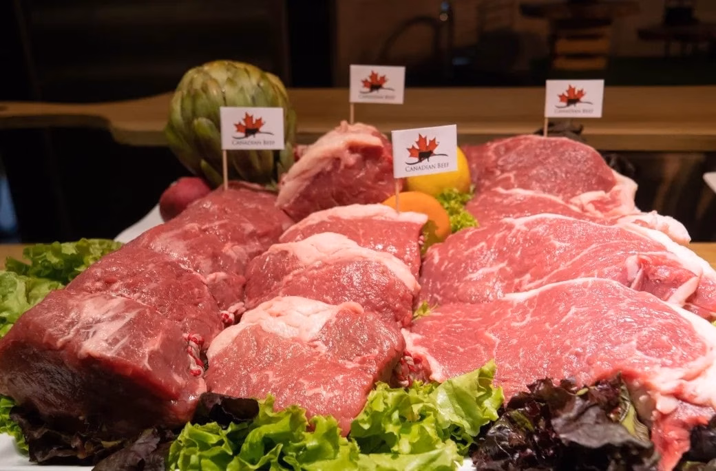 Canada xuất khẩu thịt bò Canada xuất khẩu thịt bò
