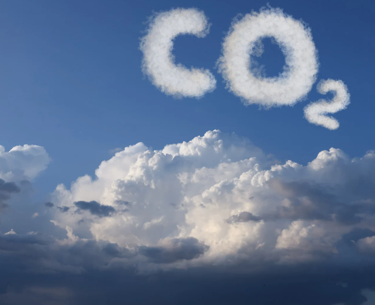 Nồng độ CO₂ cao Nồng độ CO₂ cao