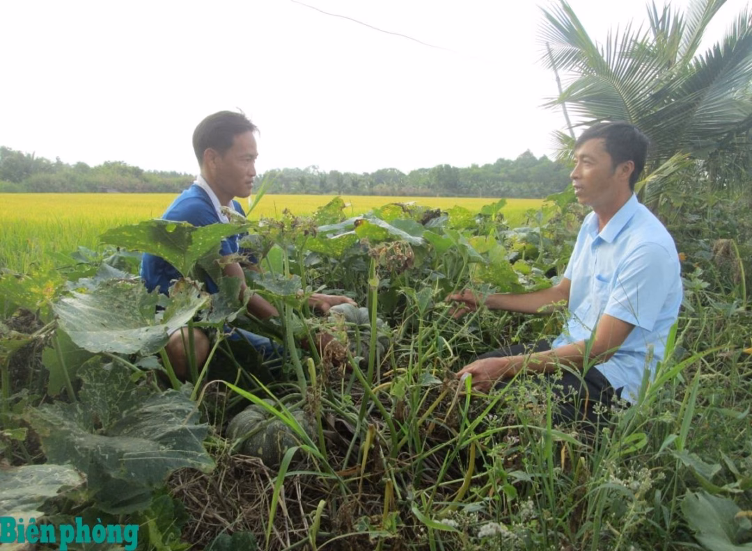Cà Mau: Hiệu quả chính sách dân tộc ở vùng đồng bào Khmer Nhờ chính quyền địa phương hỗ trợ vốn tín dụng ưu đãi theo Nghị định số 28/2022/NĐ-CP và kỹ thuật sản xuất, ông Thạch Xúa nuôi tôm sú quảng canh cải tiến cho hiệu quả kinh tế cao. Ảnh: Phan Bình