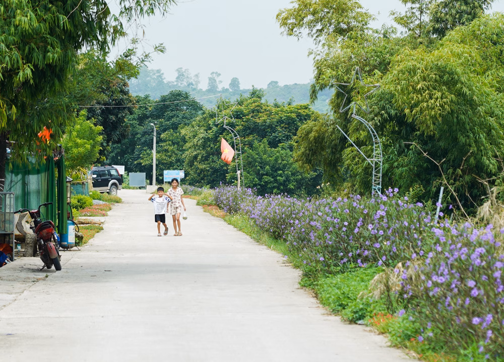 Thôn ven sông với đường sạch đẹp, trồng ‘hàng rào xanh’ Mỹ Quan đổi thay nhờ mô hình “Nhà sạch - Vườn đẹp - Hàng rào xanh”- Ảnh 17.