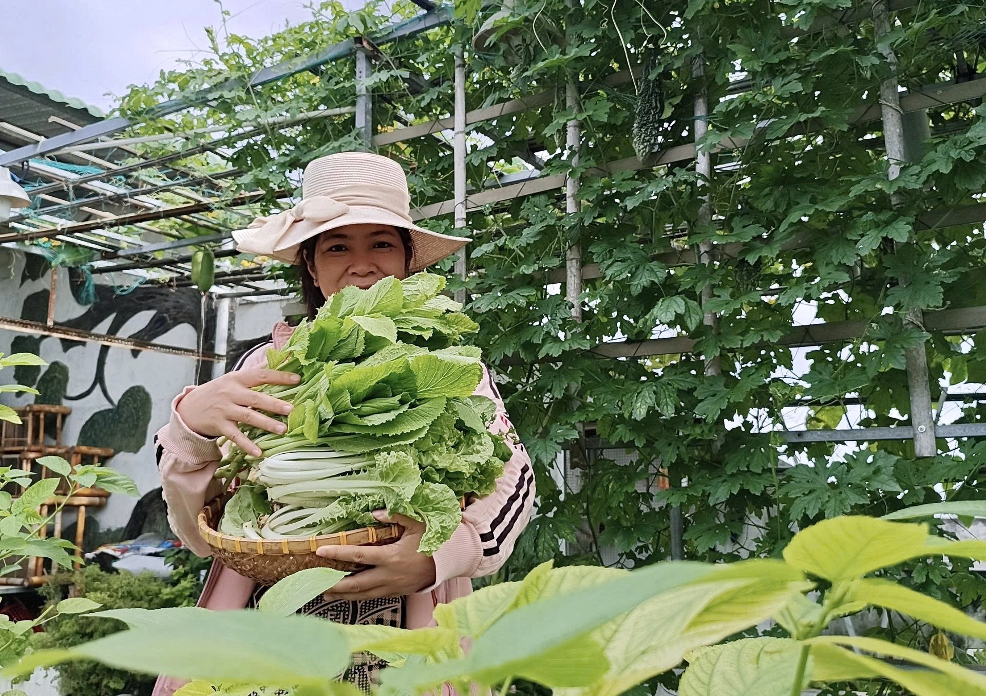 Lâm Đồng: Người đàn ông trồng rau sạch trên sân thượng, mang lại niềm vui cho gia đình Một buổi "đi chợ" trên sân thượng của gia đình anh Mỹ