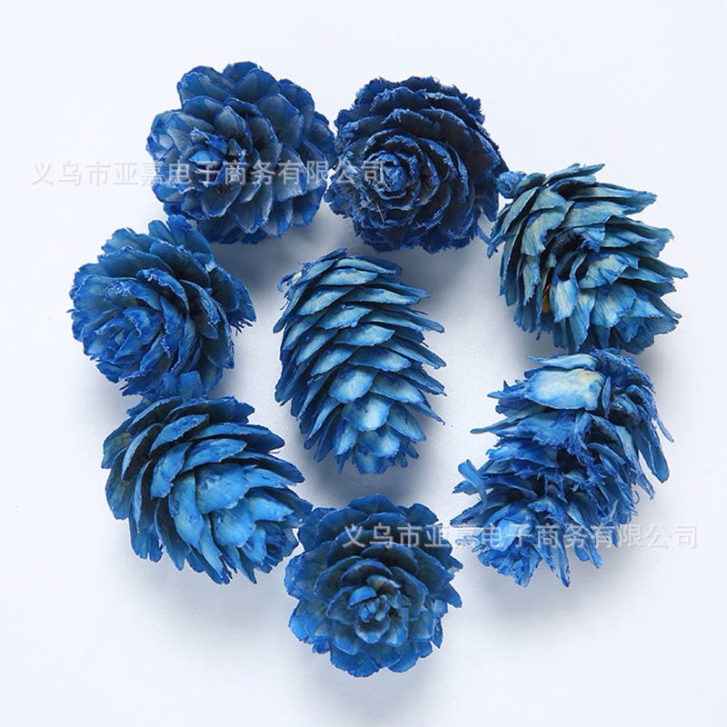 Làm thế nào để quả thông khô nhiều màu trở thành điểm nhấn cho không gian sống của bạn?