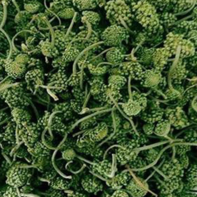 Lầm tưởng về nụ tam thất sấy xanh: Mẹo sử dụng hiệu quả cho sức khỏe bạn cần biết