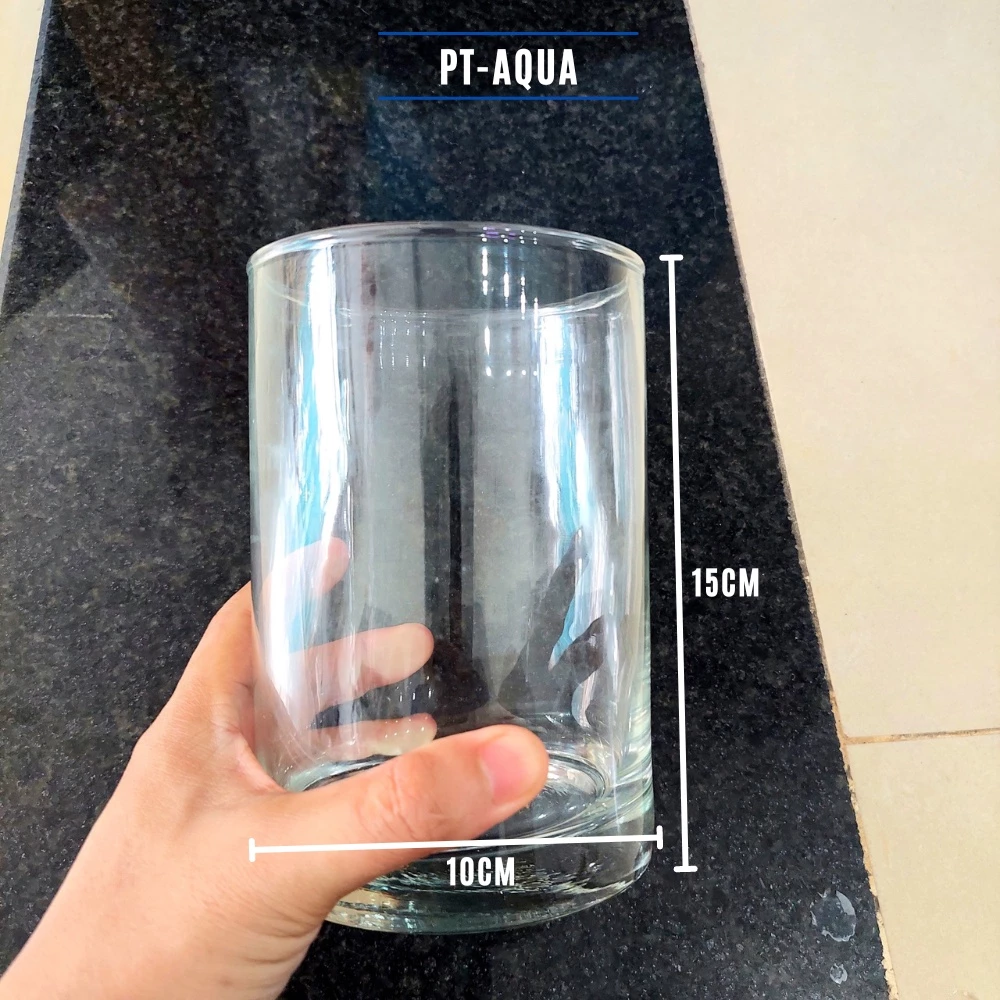 Làm thế nào để chọn chậu thủy tinh mini phù hợp với không gian bếp nhỏ của bạn?