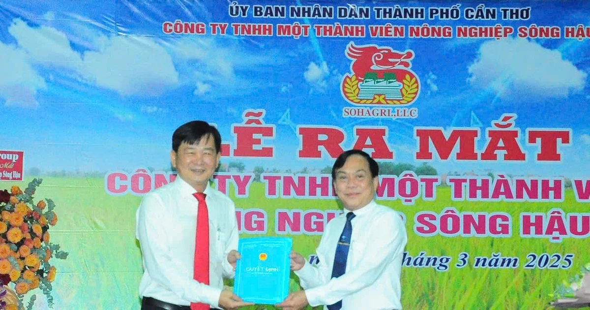 Lễ công bố quyết định chuyển đổi Nông trường Sông Hậu Ông Nguyễn Ngọc Hè, Phó Chủ tịch UBND TP Cần Thơ trao quyết định bổ nhiệm ông Nguyễn Thanh Phú, Giám đốc Nông trường Sông Hậu giữ chức Chủ tịch Công ty TNHH MTV Nông nghiệp Sông Hậu