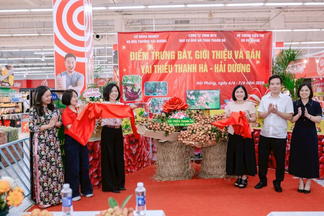 Lễ khai trương sản phẩm vải thiều Thanh Hà Lễ khai trương sản phẩm vải thiều Thanh Hà