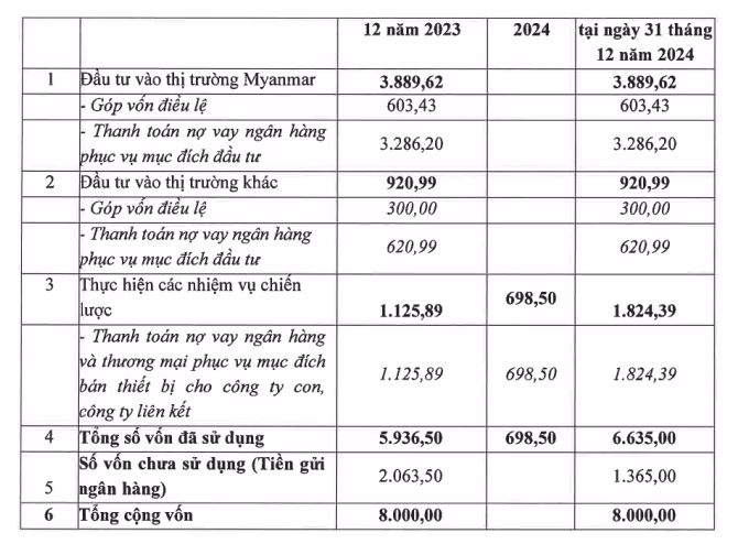 Báo cáo sử dụng vốn điều lệ Báo cáo sử dụng vốn điều lệ năm 2024 của Viettel Global