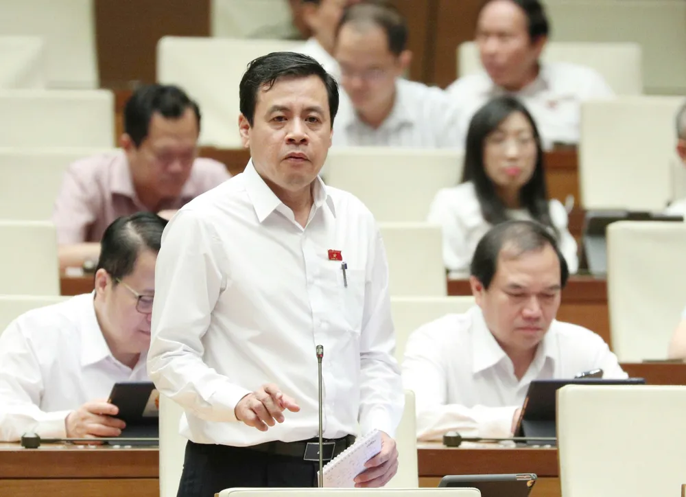 Đại biểu Trần Anh Tuấn (TPHCM) Đại biểu Trần Anh Tuấn (TPHCM)