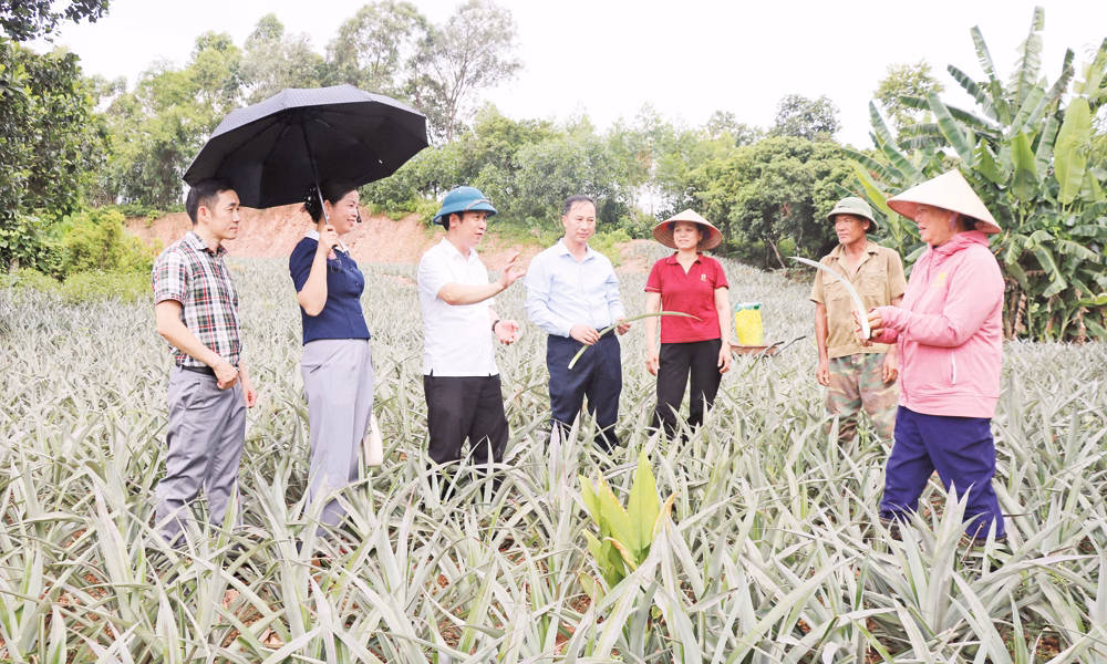 Bắc Ninh đẩy mạnh chuyển đổi số trong ngành Nông nghiệp