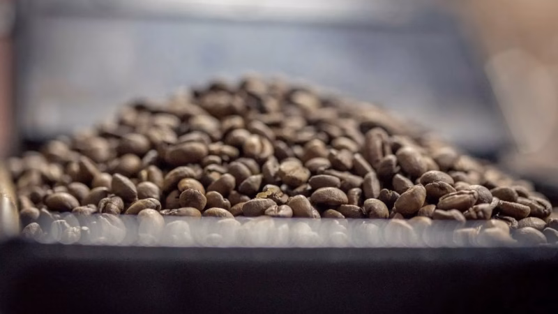 Hiệp hội Cà phê – Cacao Việt Nam: Thông Tin Liên Hệ và Giới Thiệu 15/7/2025 Tức nước vỡ bờ, giá kỳ hạn cà phê tăng cực mạnh