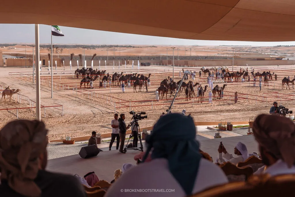 Cuộc thi Hoa hậu Lạc đà: Tôn vinh vẻ đẹp độc đáo và văn hóa Bedouin ở UAE Toàn cảnh cuộc thi Hoa hậu lạc đà. Ảnh: brodenbootstravel.