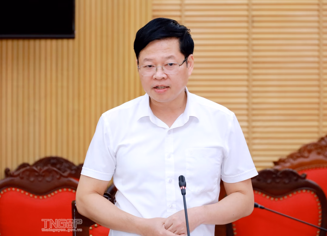 Đẩy mạnh phát triển hạ tầng, du lịch và dịch vụ trong các đảng bộ trực thuộc Tỉnh ủy Đồng chí Đinh Quang Tuyên, Phó Bí thư Tỉnh ủy, Chủ tịch Ủy ban MTTQ tỉnh phát biểu tại Hội nghị